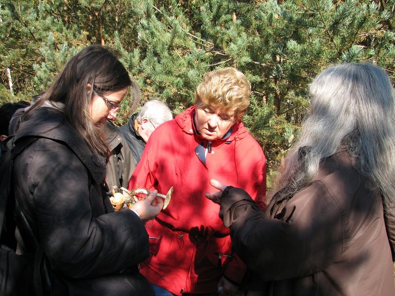 Mares au vinaigre 23